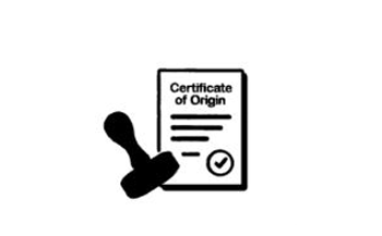 Certificate of Origin Icon